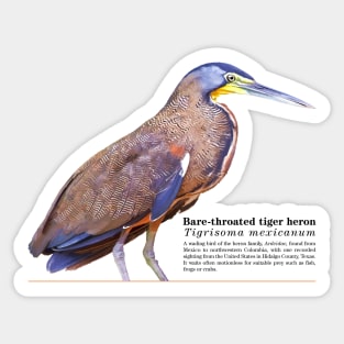 Bare-throated tiger heron tropical bird black text Sticker